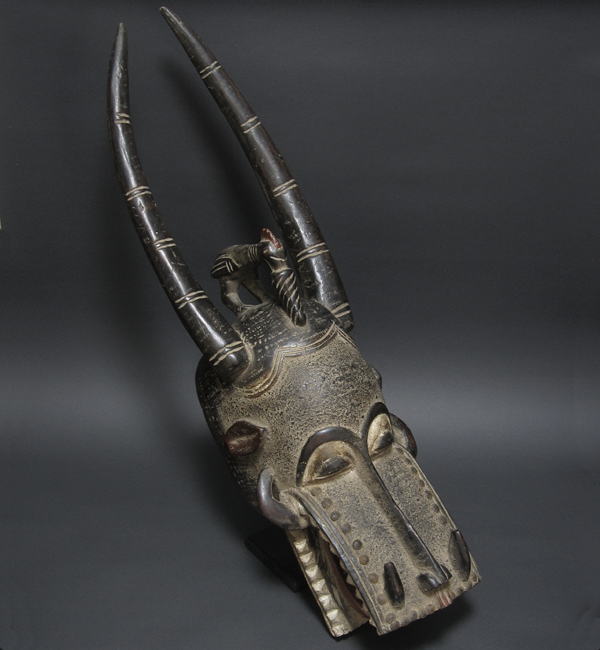 ZktH̉΂𐁂()ER[gW{[AtJ̉(ؒ)