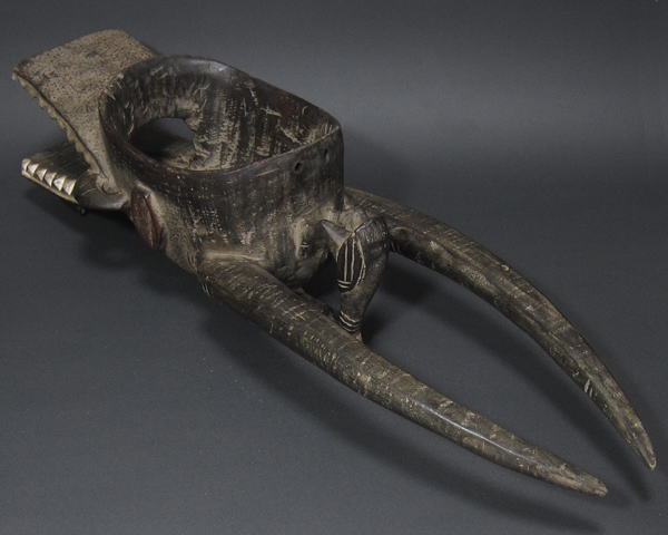 ZktH̉΂𐁂()ER[gW{[AtJ̉(ؒ)