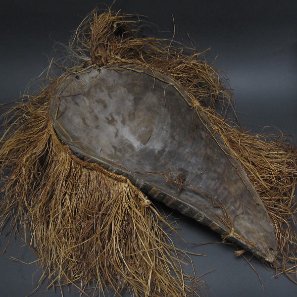 �o�\���Q�̃}�X�N(��)�E�R���S���勤�a�����A�t���J�̉���(�ؒ���)