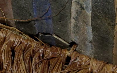 �o�\���Q�̃}�X�N(��)�E�R���S���勤�a�����A�t���J�̉���(�ؒ���)