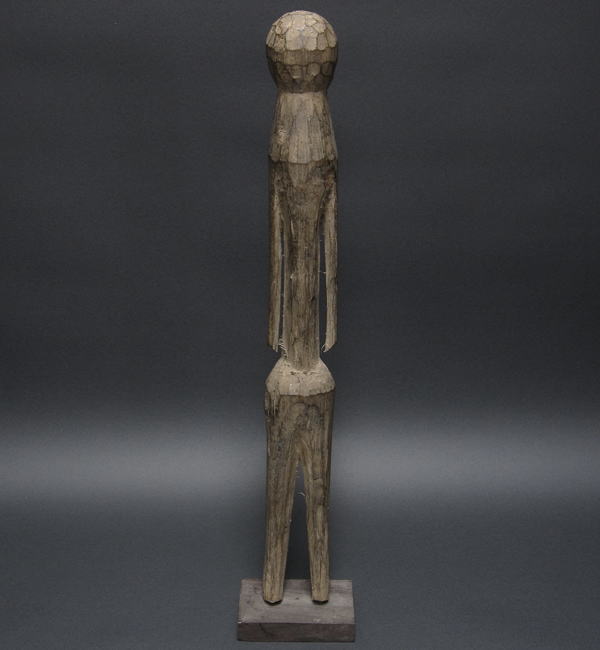 oTCHITCHERI()Eg[S<AtJ̖ؒ葜