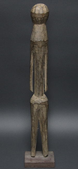 oTCHITCHERI()Eg[S<AtJ̖ؒ葜