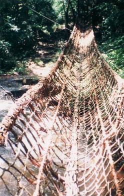 コートジボワール西部のつるで編んだ吊橋